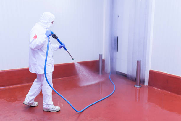 Trusted Ocean Park, WA Pressure Washing Services Experts